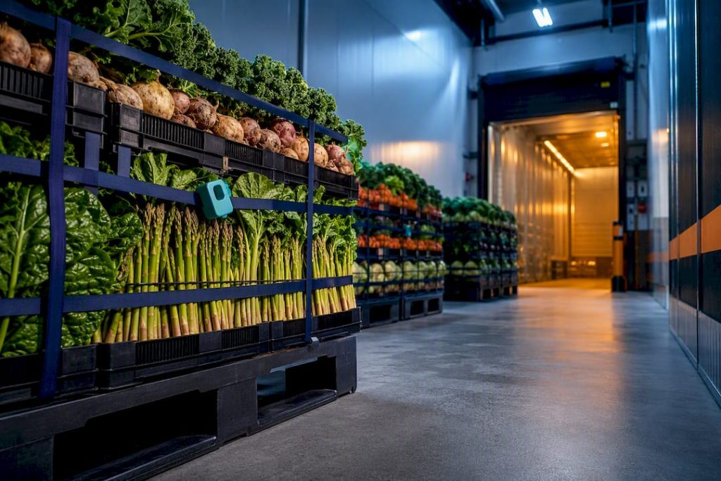 Vegetable crates in refrigerated export staging