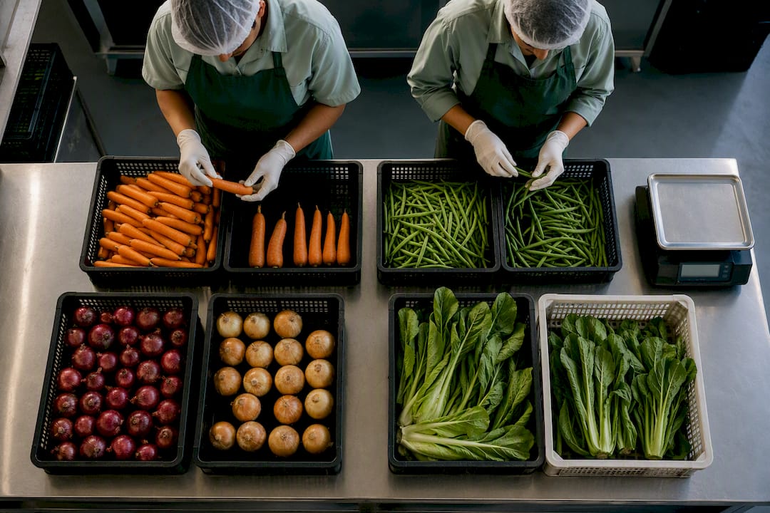 Hands grading vegetables for export inspection