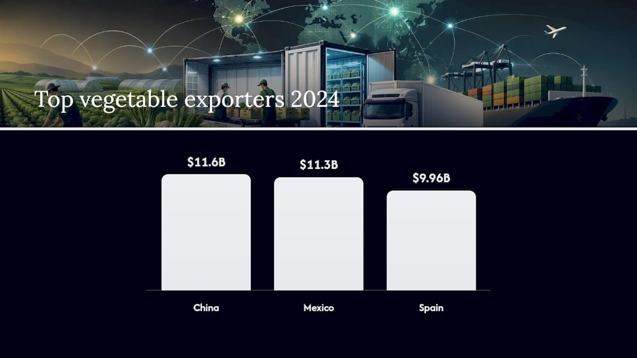 What Does Global Vegetable Export Trade Look Like Right Now? — overview diagram